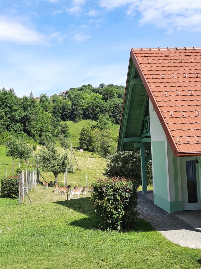 Holiday Home Neokrnjena Narava Sevnica Exteriér fotografie
