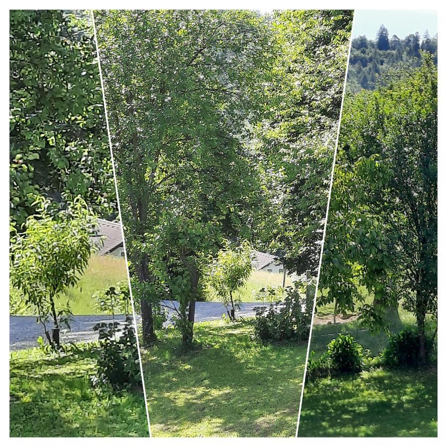 Holiday Home Neokrnjena Narava Sevnica Exteriér fotografie