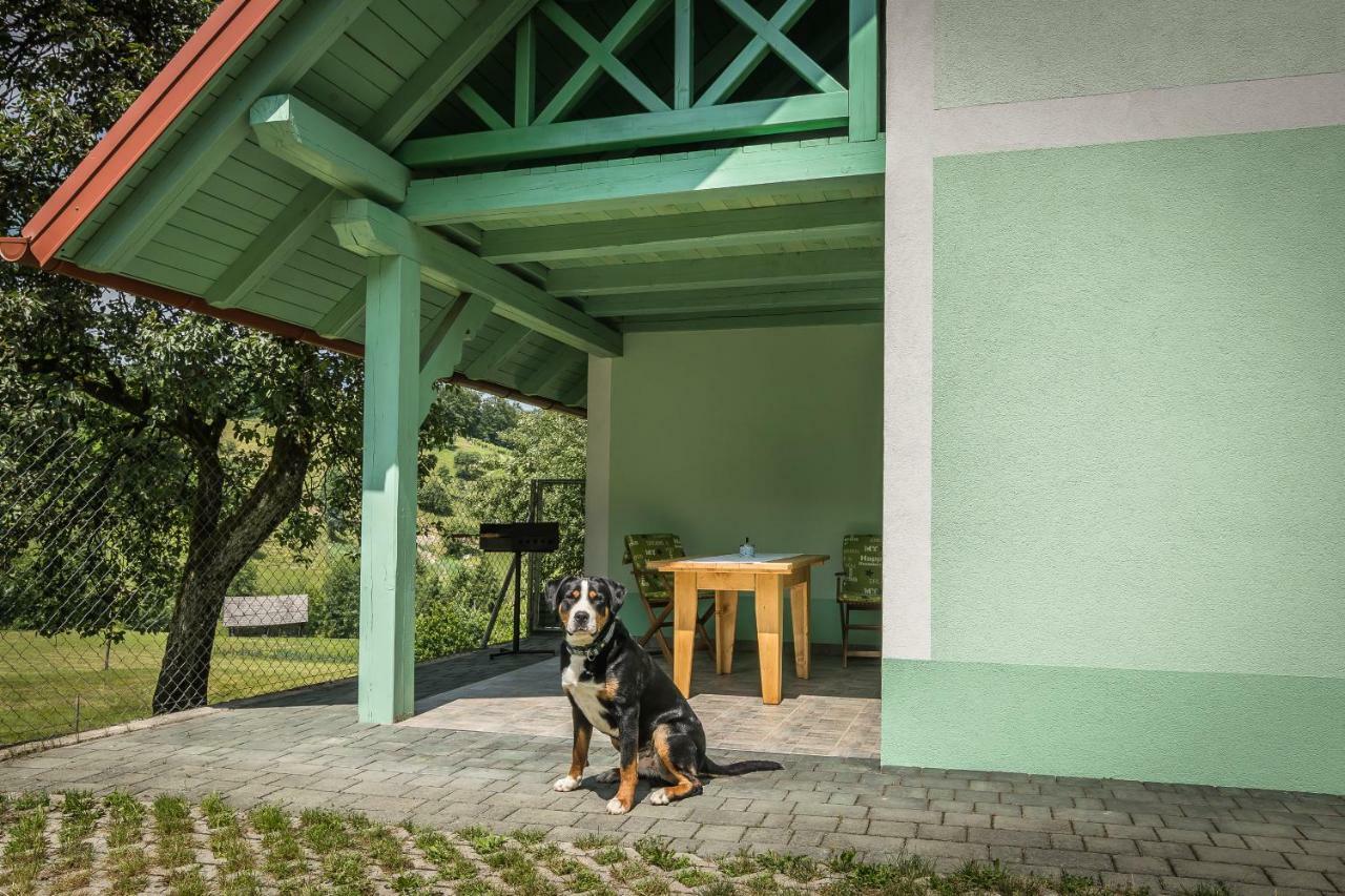 Holiday Home Neokrnjena Narava Sevnica Exteriér fotografie