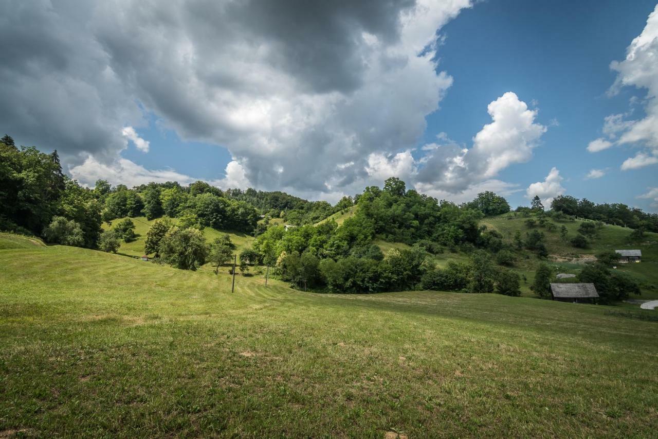 Holiday Home Neokrnjena Narava Sevnica Exteriér fotografie